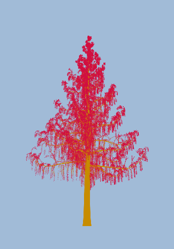 Treee