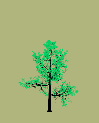 Treee