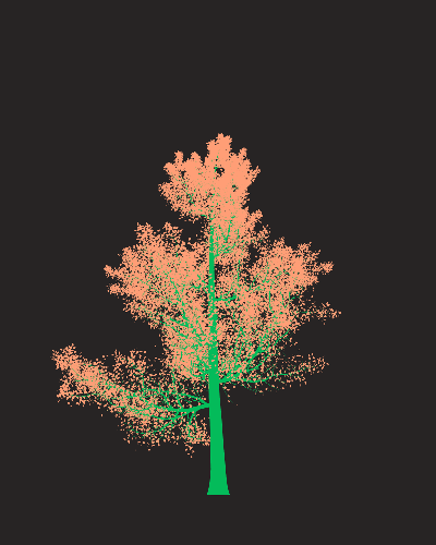 Treee