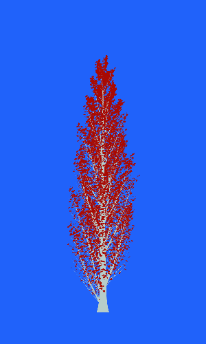 Treee