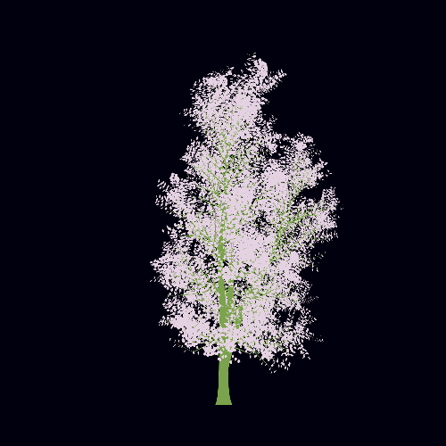 Treee