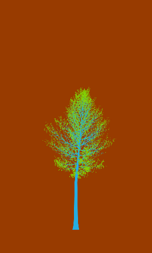 Treee