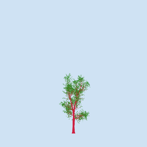 Treee