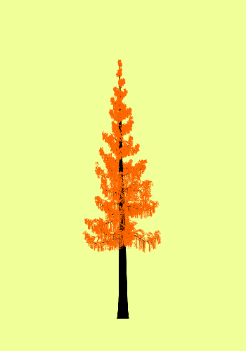 Treee