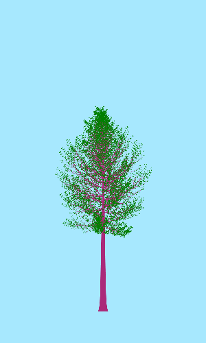 Treee