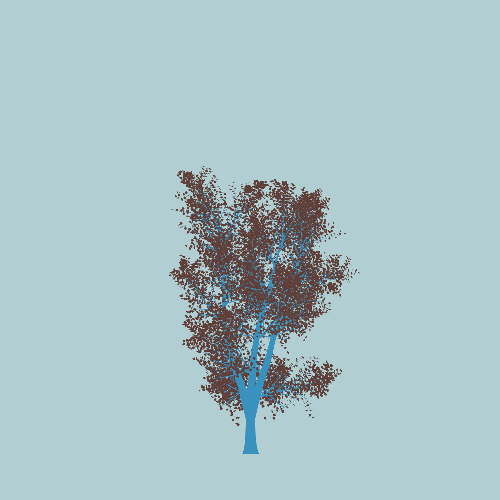 Treee