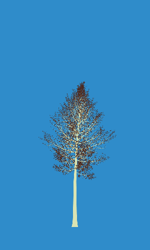 Treee
