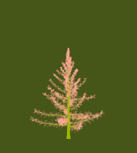 Treee