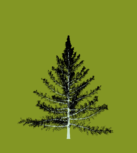 Treee
