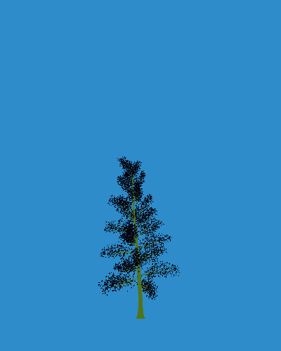 Treee