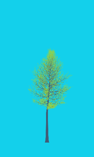 Treee