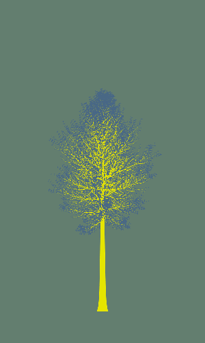 Treee