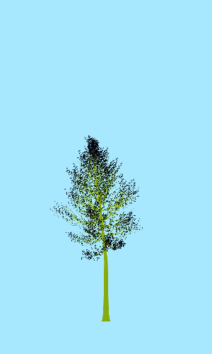 Treee
