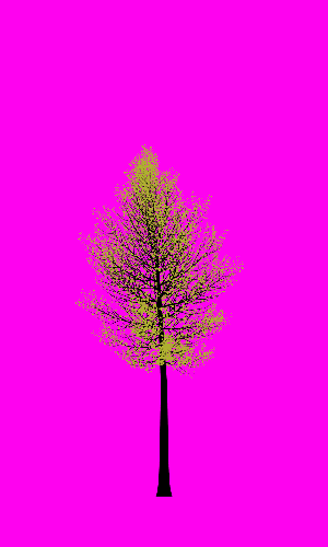 Treee