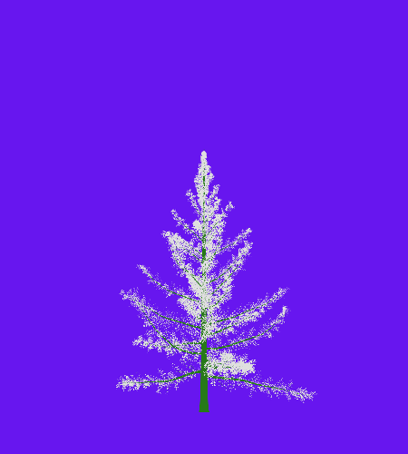 Treee