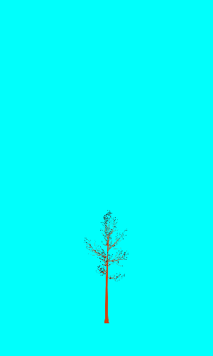 Treee