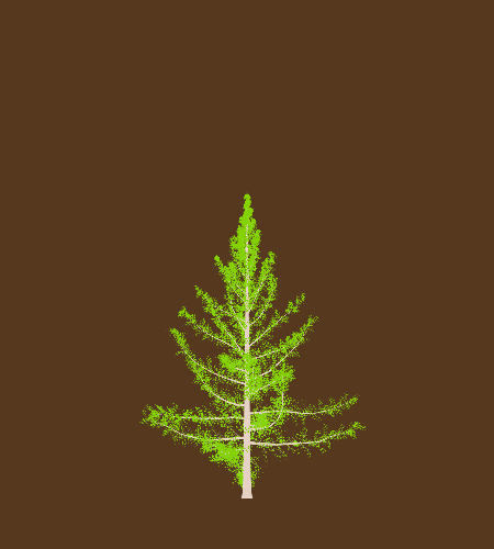 Treee