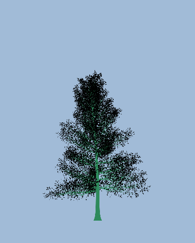 Treee