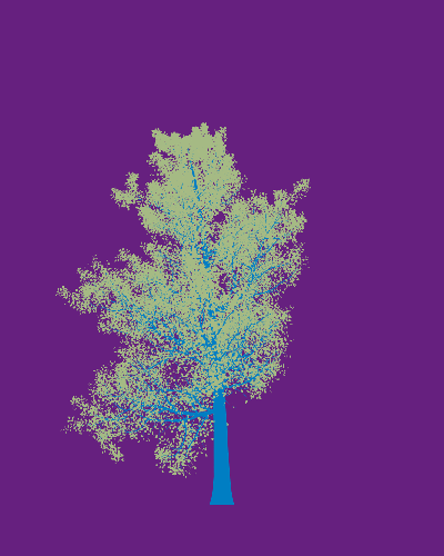 Treee