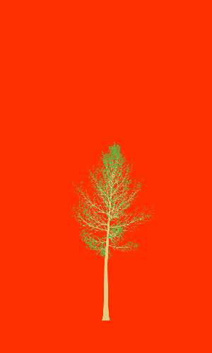 Treee