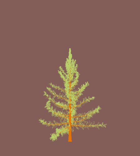 Treee