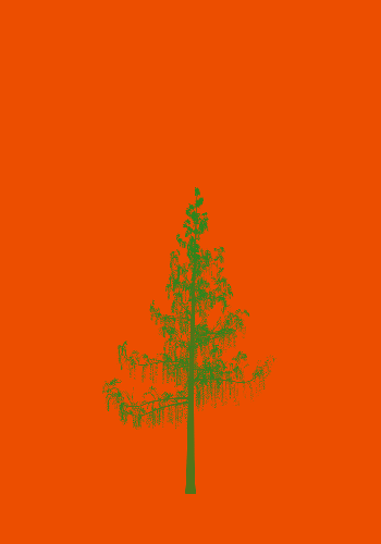 Treee