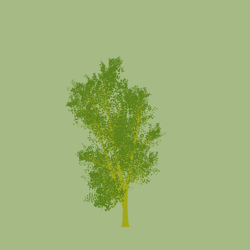 Treee