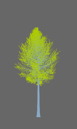 Treee
