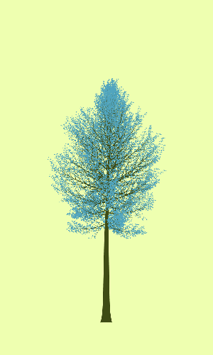 Treee