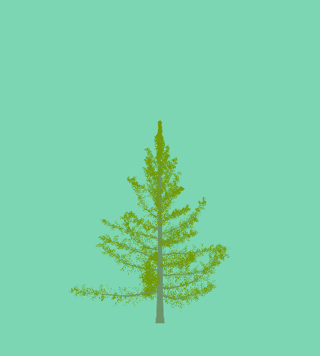 Treee