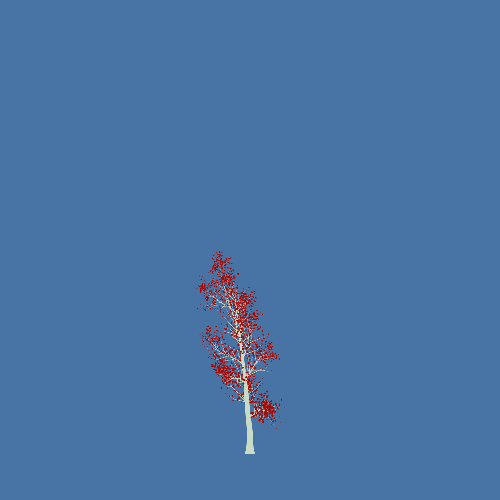 Treee