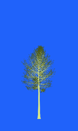 Treee