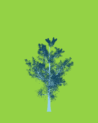 Treee