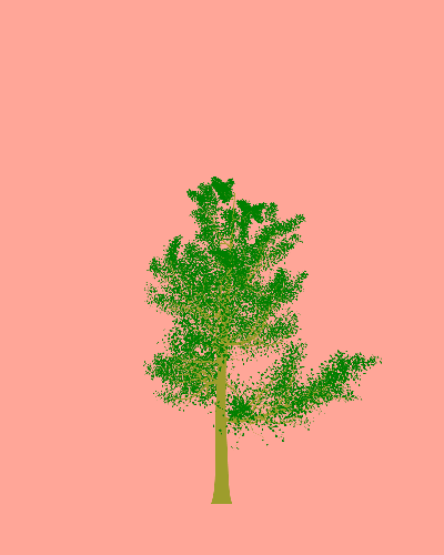 Treee