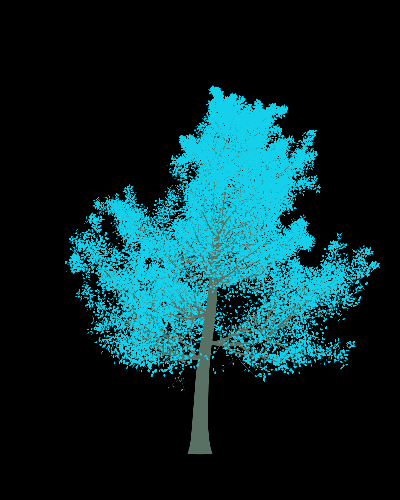 Treee