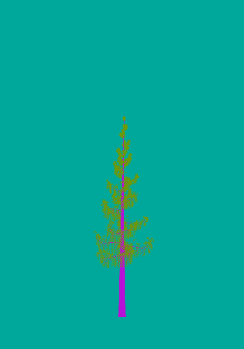 Treee