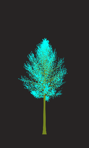 Treee