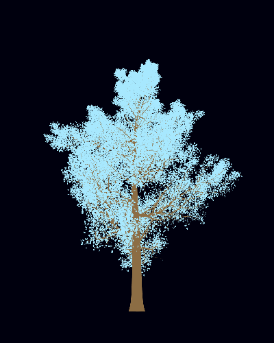 Treee