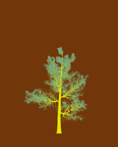 Treee