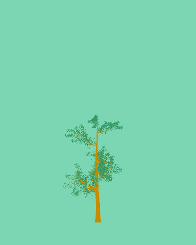 Treee