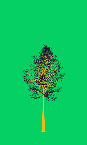 Treee