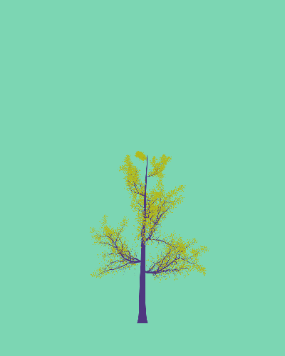 Treee