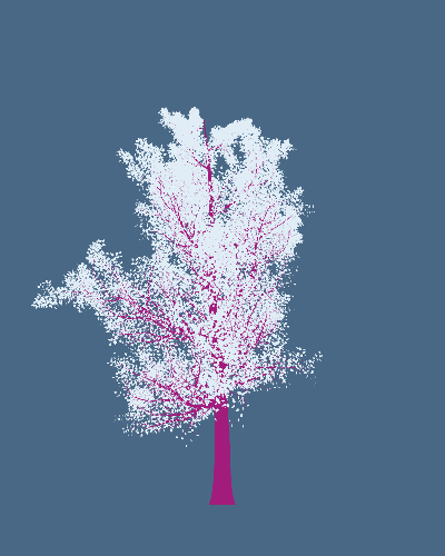 Treee