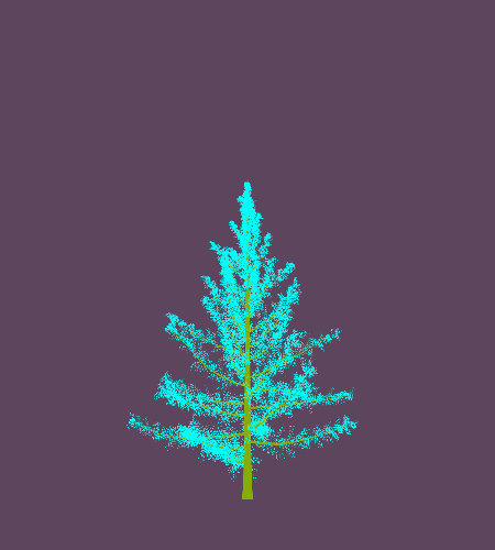 Treee