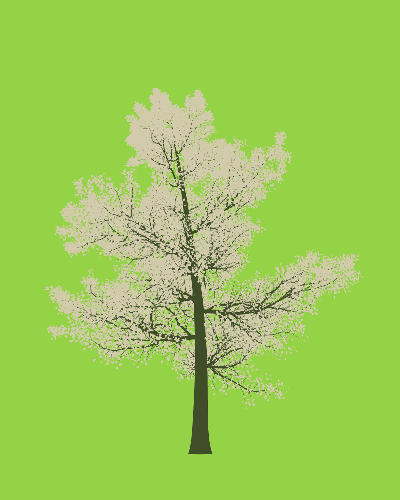 Treee
