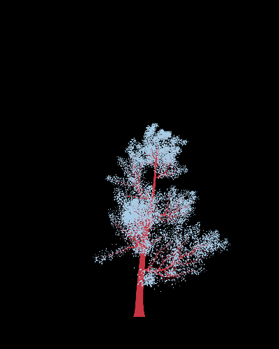 Treee