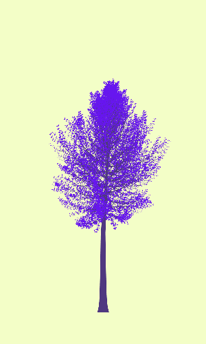 Treee