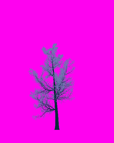 Treee
