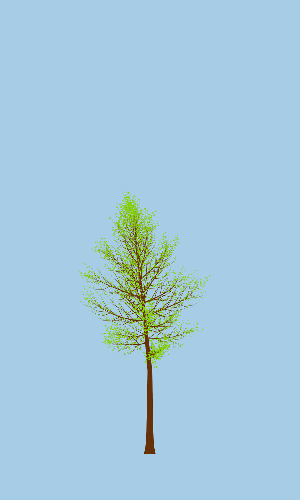 Treee
