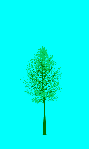 Treee